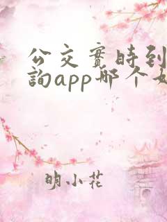 公交实时到站查询app哪个好用