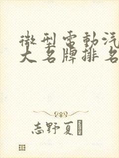 微型电动汽车十大名牌排名及价格