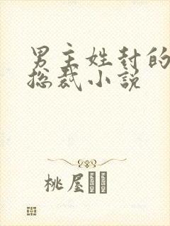 男主姓封的霸道总裁小说