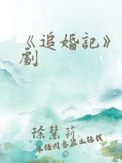 《追婚记》电视剧