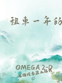 租车一年的费用