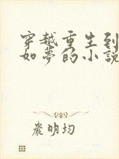 穿越重生到宁安如梦的小说