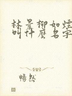 林晨柳如烟小说叫什么名字来着