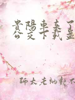 贵阳车来了实时公交下载并安装