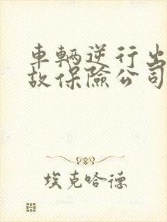 车辆逆行出了事故保险公司怎么赔