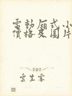 电动厢式小货车价格及图片