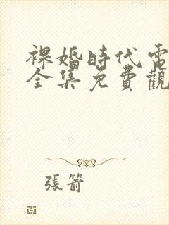 裸婚时代电视剧全集免费观看