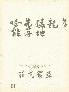哈弗猛龙多少钱能落地