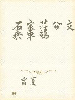 石家庄公交地铁乘车码