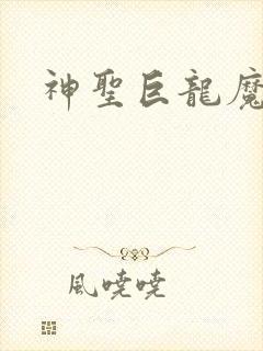 神圣巨龙魔法师