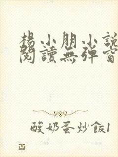杨小朋小说免费阅读无弹窗