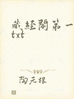 藏经阁第一版主txt