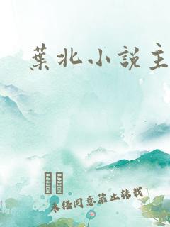 叶北小说主角