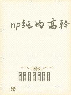 np纯肉高干文