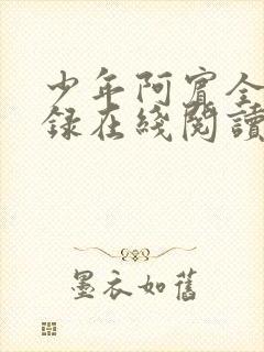 少年阿宾全文目录在线阅读