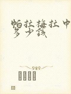 帕拉梅拉中控表多少钱