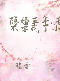 隐婚五年,老婆不要我了小说