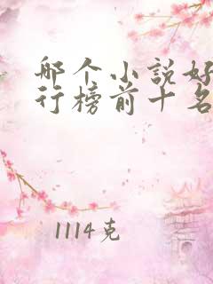 哪个小说好看排行榜前十名