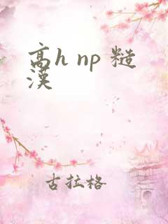 高h np 糙汉