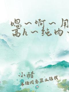 嗯~啊~用力~高h~纯肉~男男