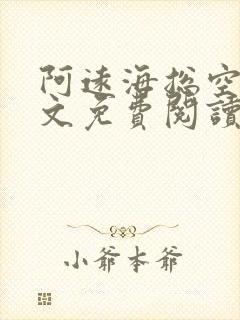 阿远海总空姐全文免费阅读