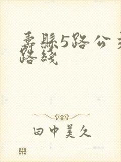 寿县5路公交车路线