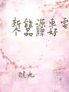 新能源车电池哪个品牌好