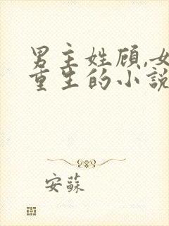 男主姓顾,女主重生的小说