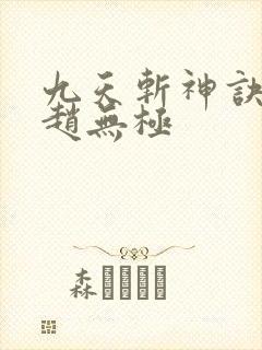 九天斩神诀林辰赵无极