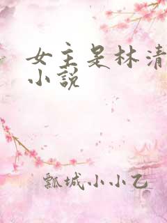女主是林清浅的小说
