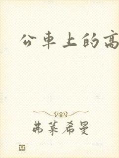 公车上的高潮