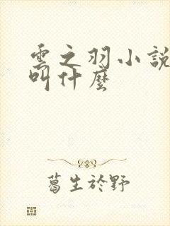 云之羽小说原著叫什么 云之羽小说原著叫什么