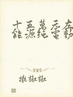 十五万元左右新能源纯电动汽车