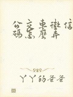 公交车微信乘车码怎么弄