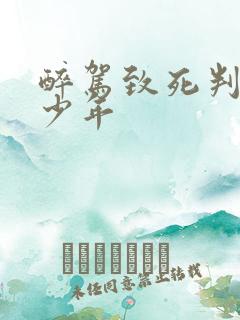 醉驾致死判刑多少年