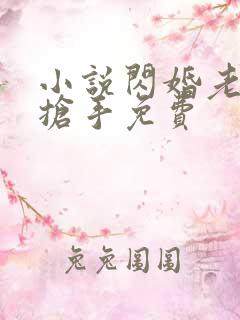 小说闪婚老公太抢手免费