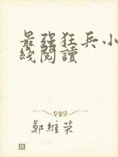 最强狂兵小说在线阅读