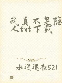 我真不是隐世高人txt下载