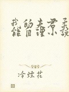 我的夫君柔弱不能自理小说