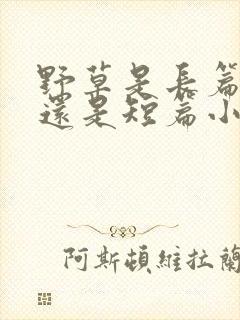 野草是长篇小说还是短篇小说