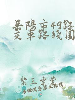 岳阳市49路公交车路线图