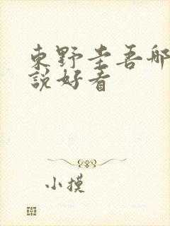 东野圭吾哪本小说好看