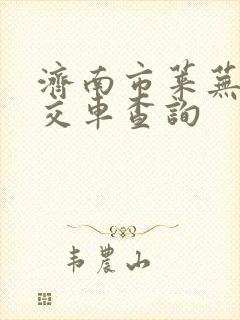 济南市莱芜区公交车查询