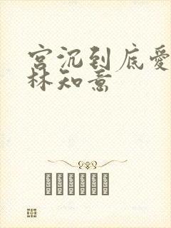 宫沉到底爱不爱林知意
