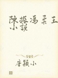 陈振冯柔王正豪小说
