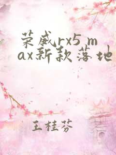荣威rx5 max新款落地价 荣威rx5 max新款落地价