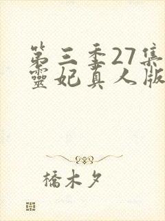 第三季27集通灵妃真人版