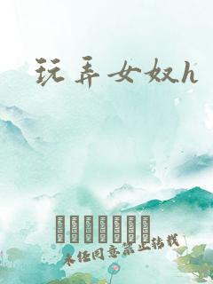 玩弄女奴h