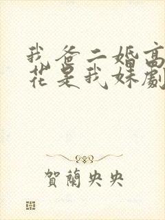 我爸二婚高冷校花是我妹剧情