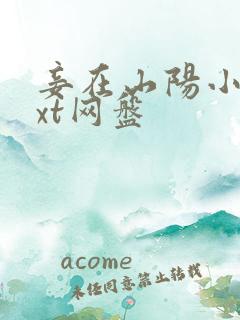 妾在山阳小说txt网盘